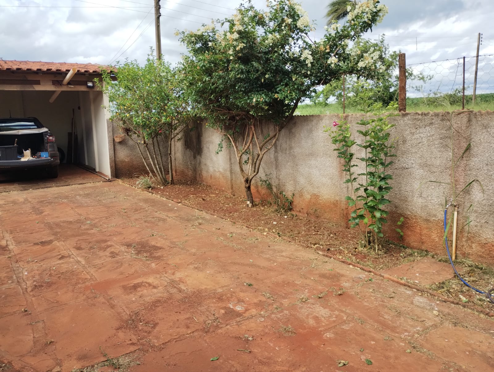 Limpeza de quintais e jardins